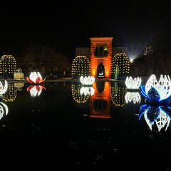 22-12-19 20-11-28 3685